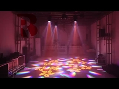 Μίνι μοντέλο με πρίσμα RGBW για να δείξει 6 φωτεινά μάτια μέλισσας